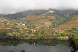 Douro Valley